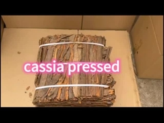 천연 향신료 와 허브 가시나 스틱 가시아 가시나